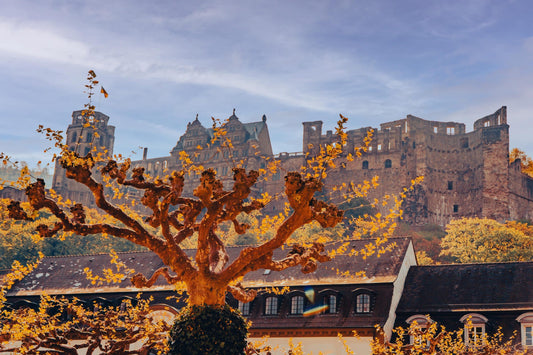 Geheimtipp Bild vom Heidelberger Schloss von unten