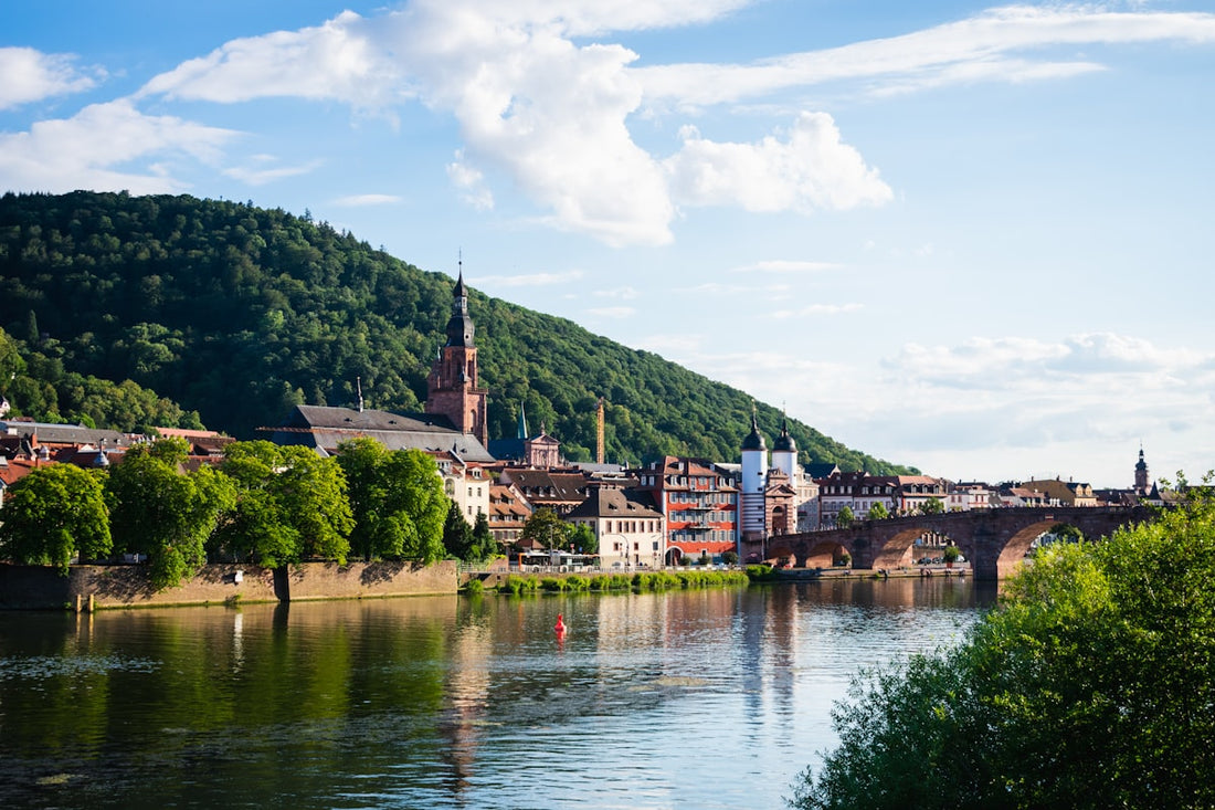 Heidelberg im Sommer – Neckar, grüne Hänge und Altstadt bei Sonnenuntergang