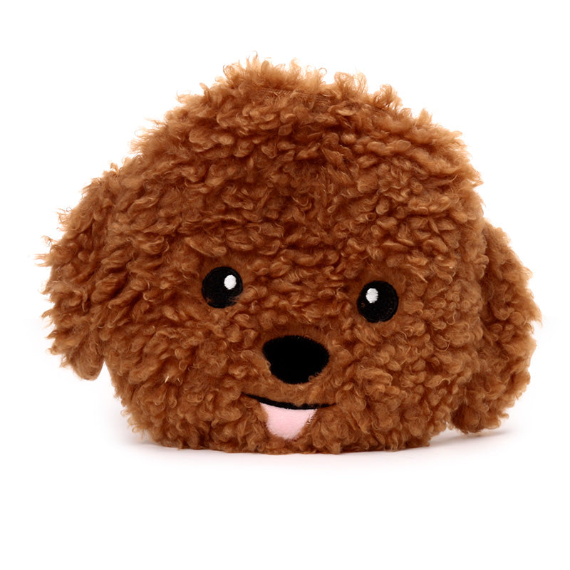 Kavapoo Hund